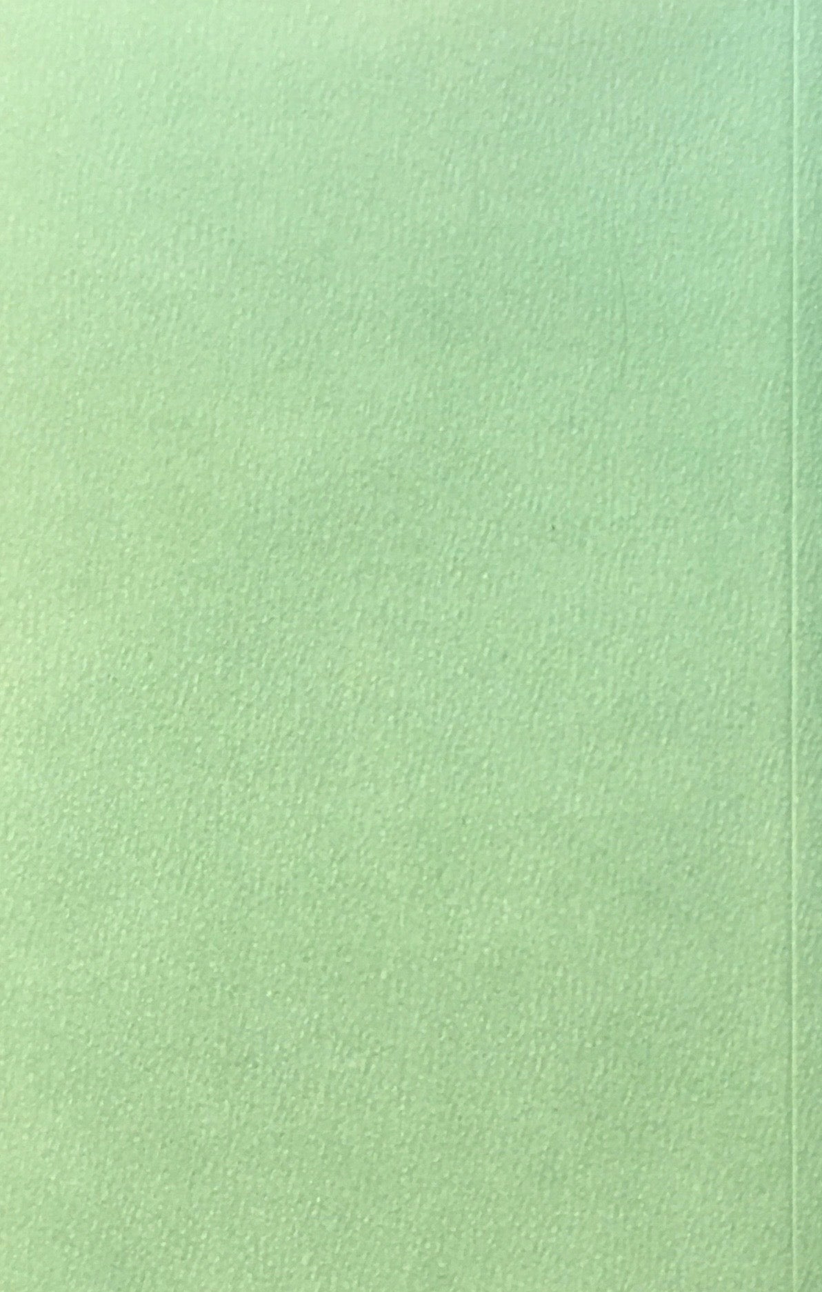 The Acrobat Michaël Borremans ミヒャエル・ボレマンス