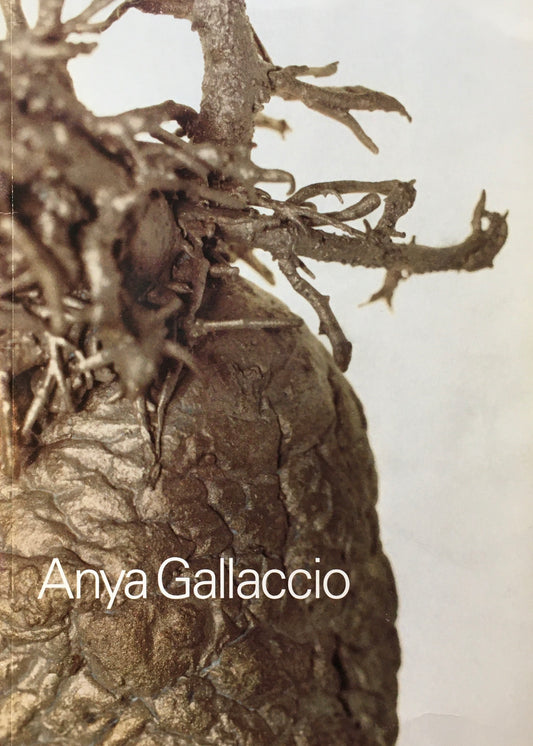 アーニャ・ガラッチオ Anya Gallaccio  Ikon Gallery