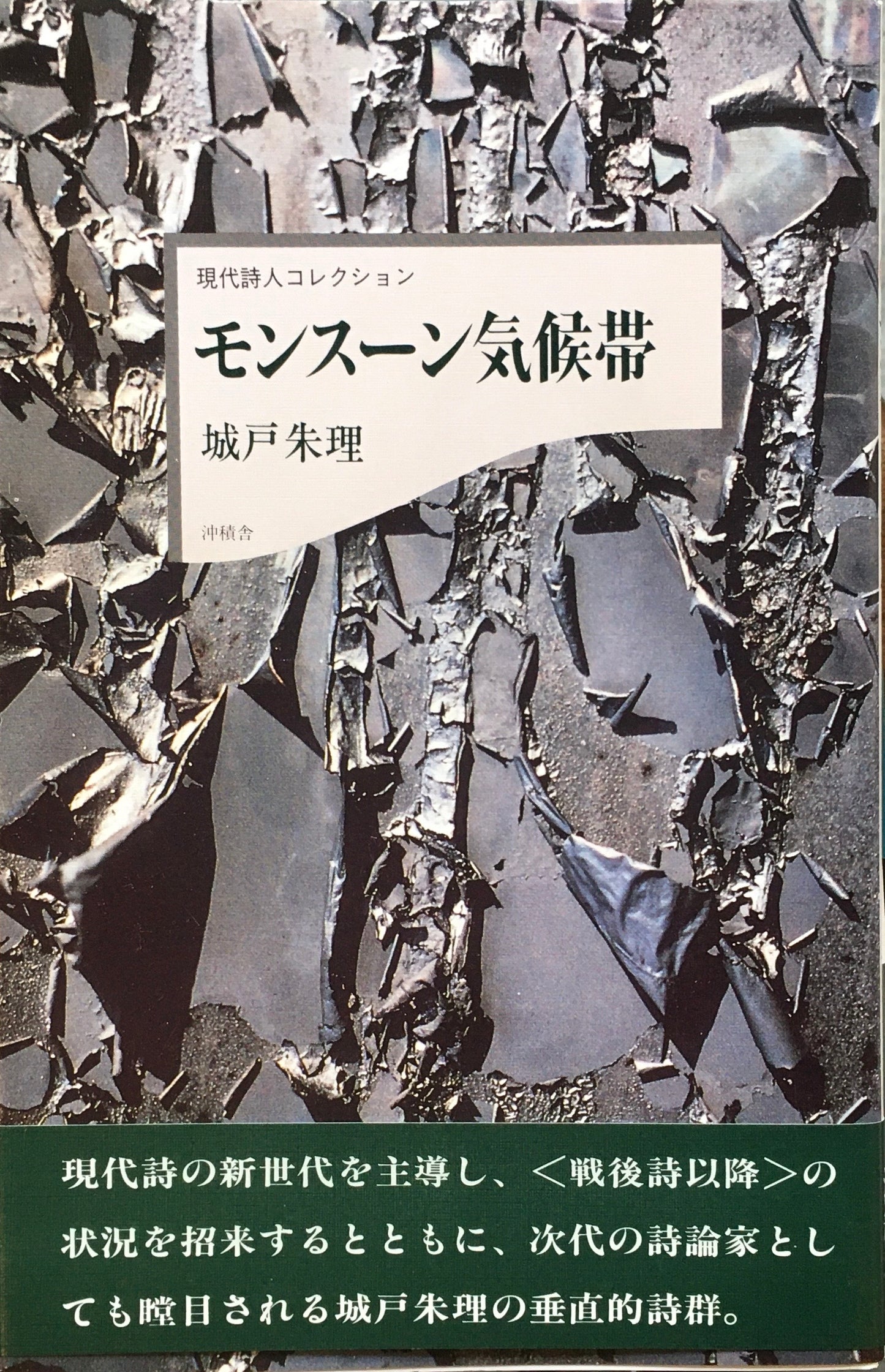 モンスーン気候帯 城戸朱理