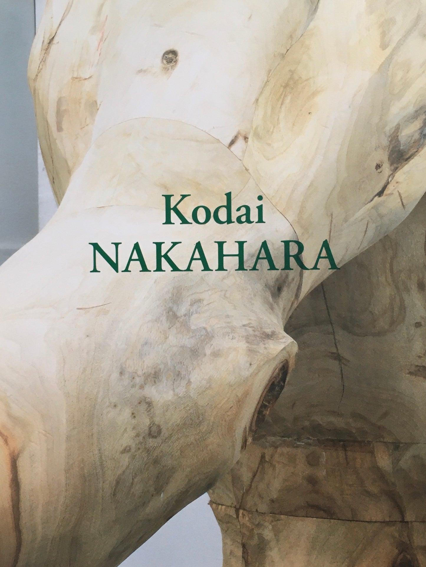 Kodai NAKAHARA 中原浩大 1982‐2014