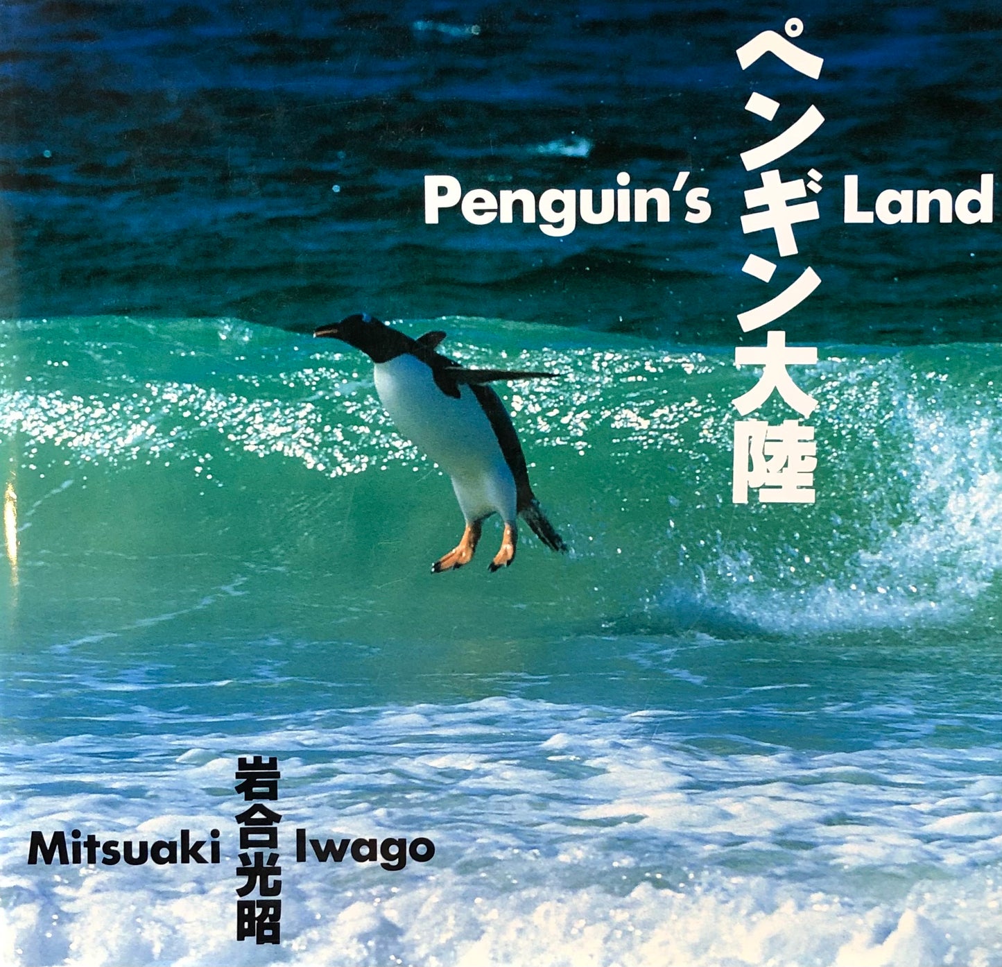 ペンギン大陸 岩合光昭
