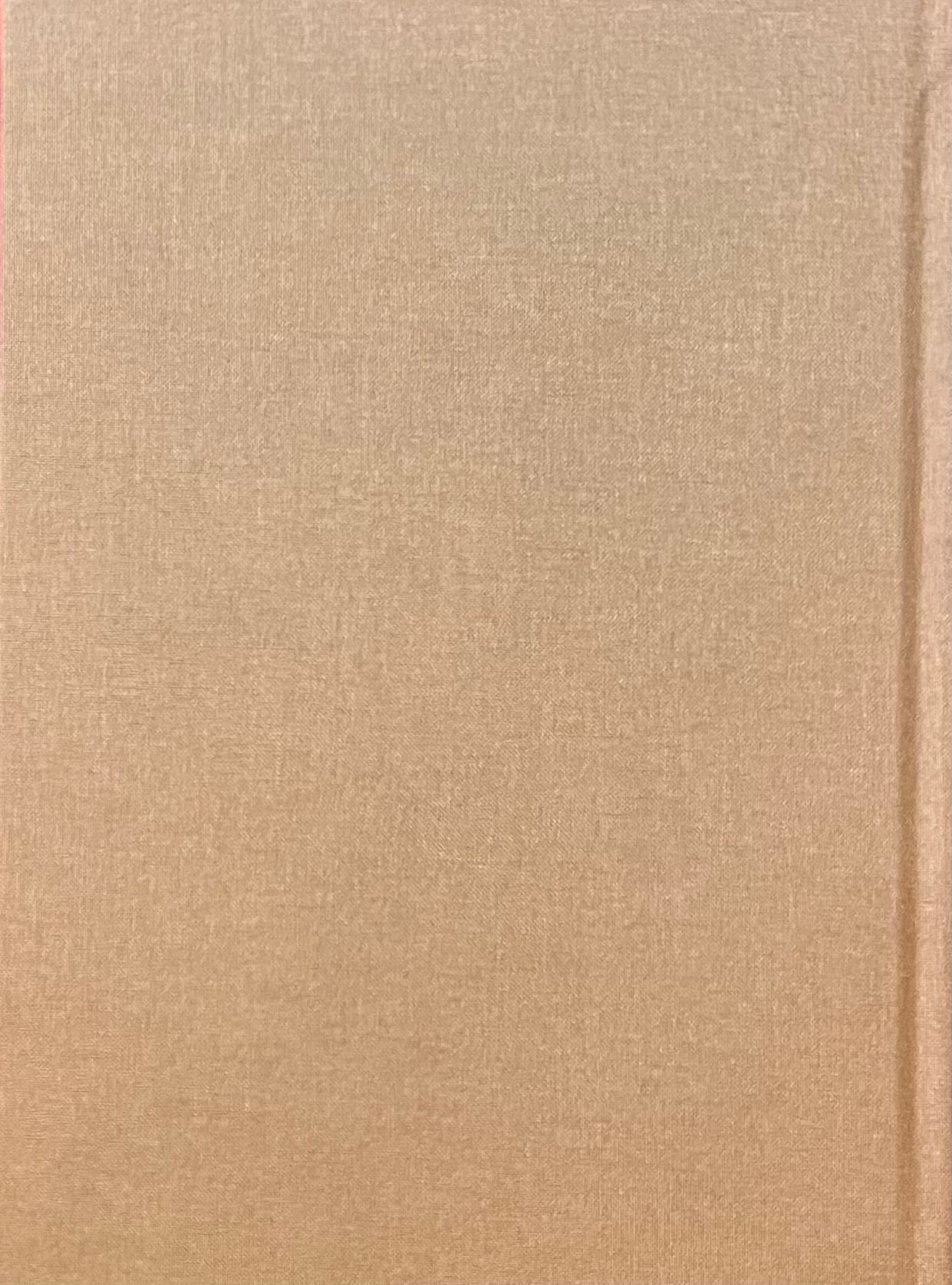 Amy Cutler Painting and Drawings エイミー・カトラー