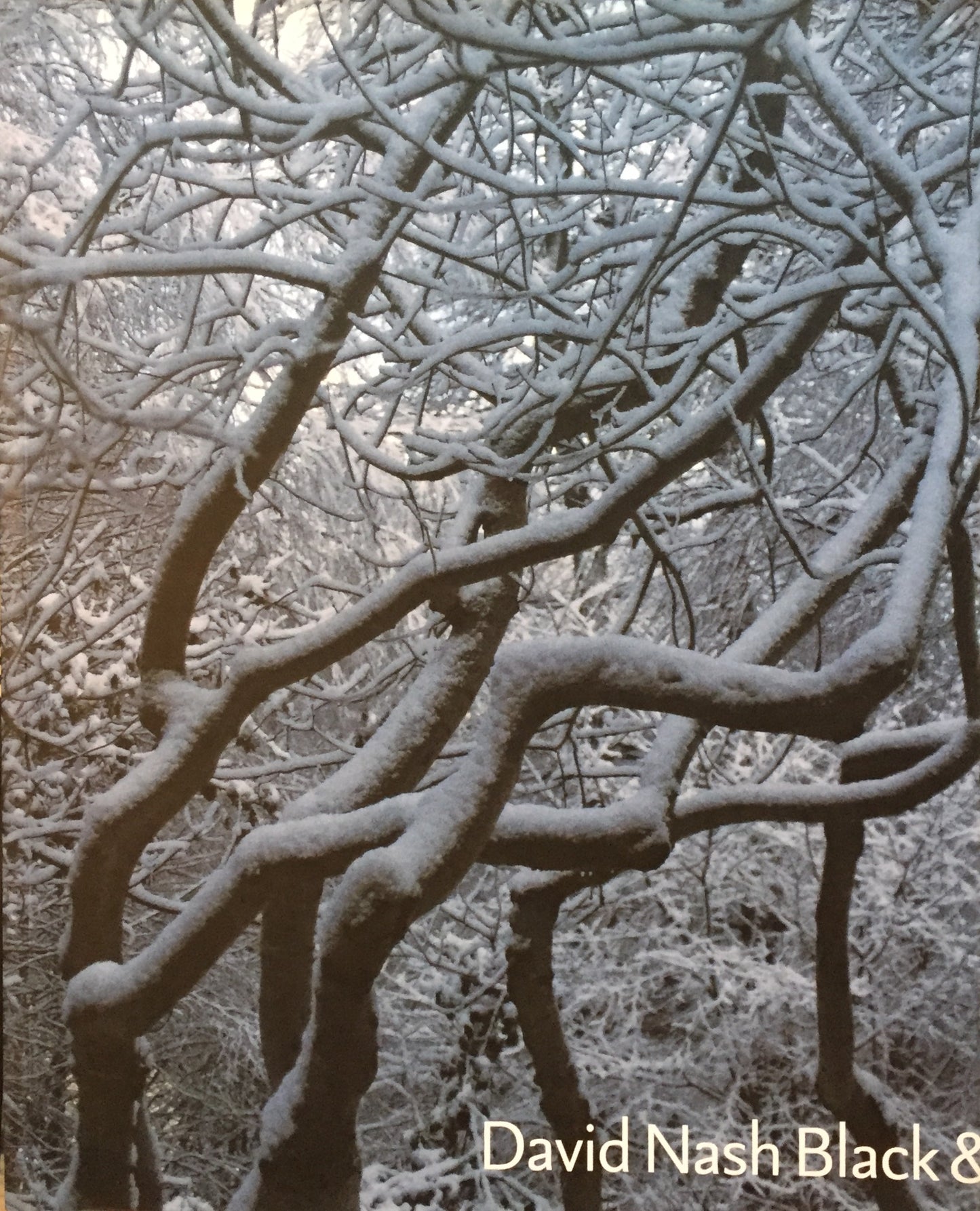 David Nash Black&Light デイヴィッド・ナッシュ
