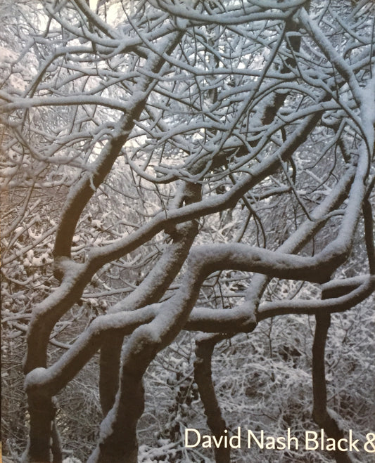David Nash Black&Light デイヴィッド・ナッシュ