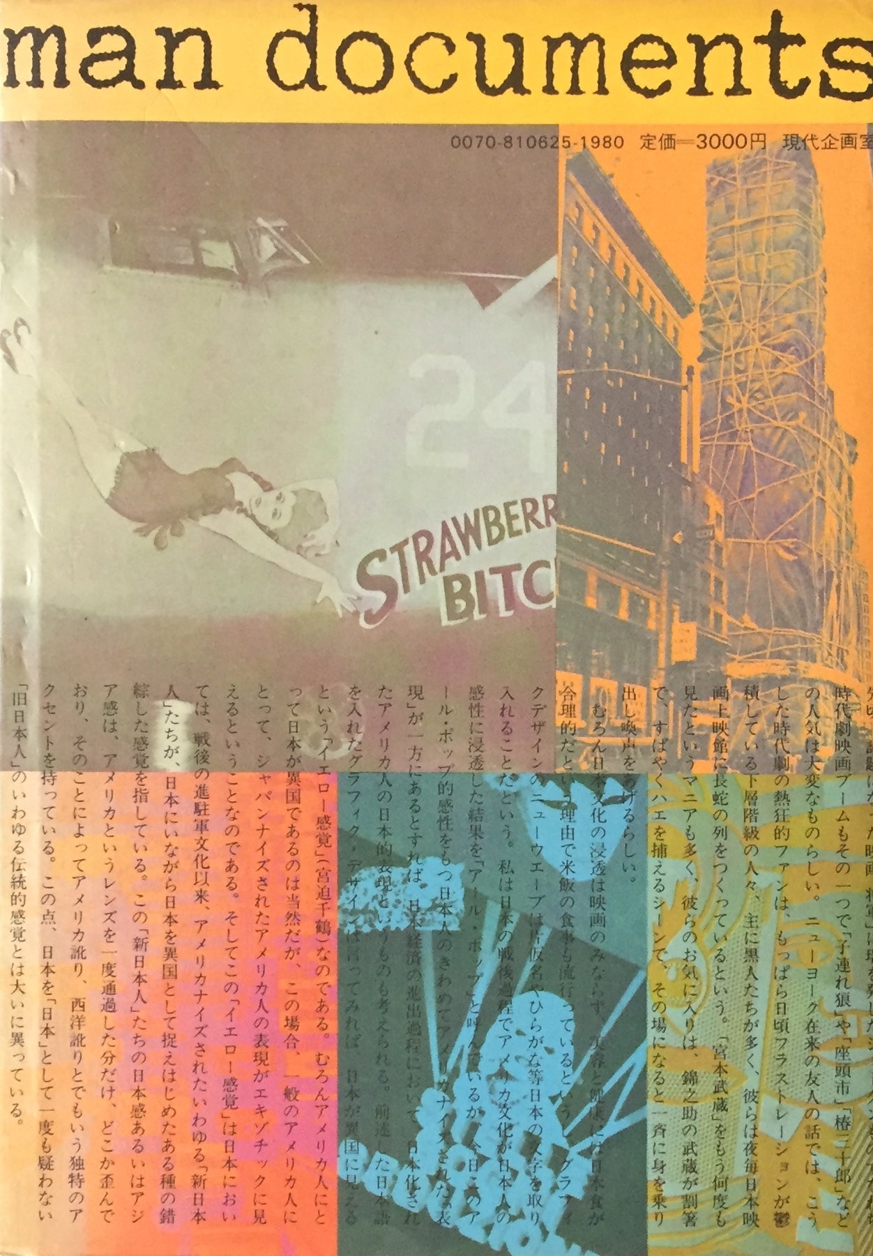 視線はいつもB級センス 脱意味の美術 1979-1981 谷川晃一