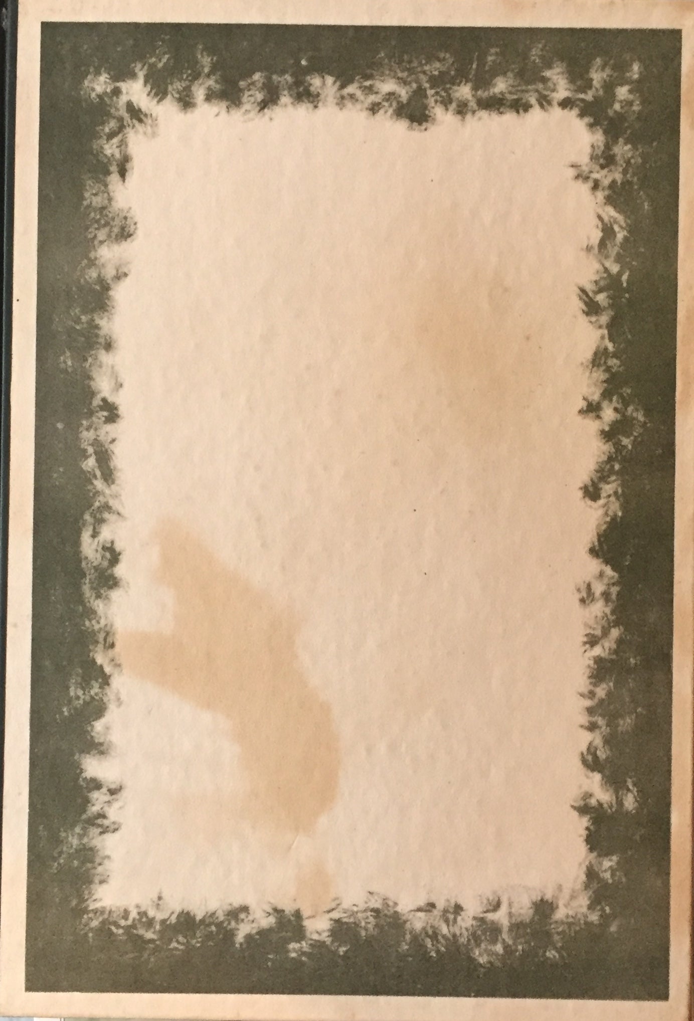 セザンヌ覚書 伊藤廉