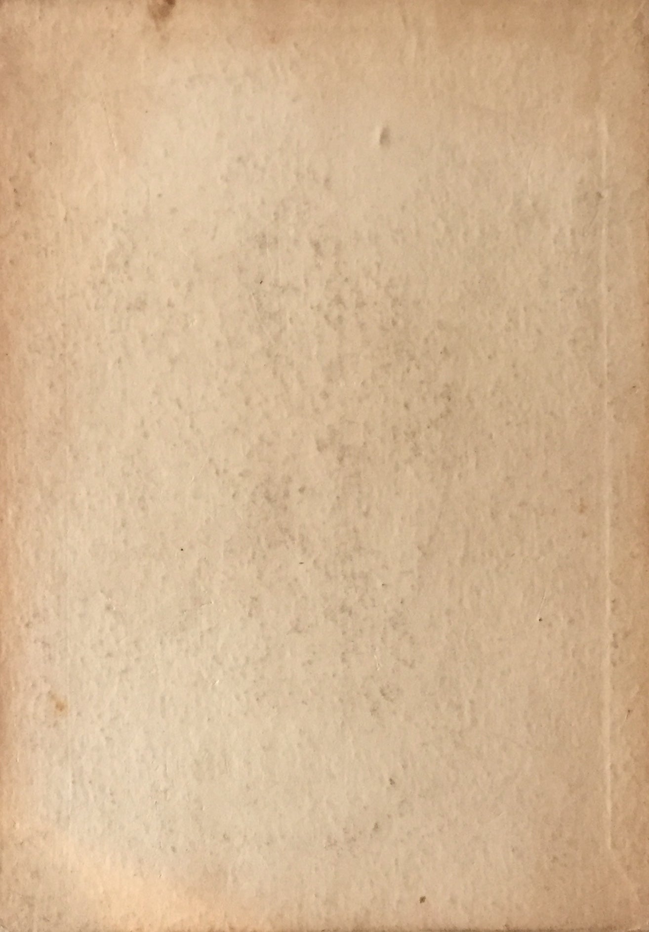 セザンヌ覚書 伊藤廉