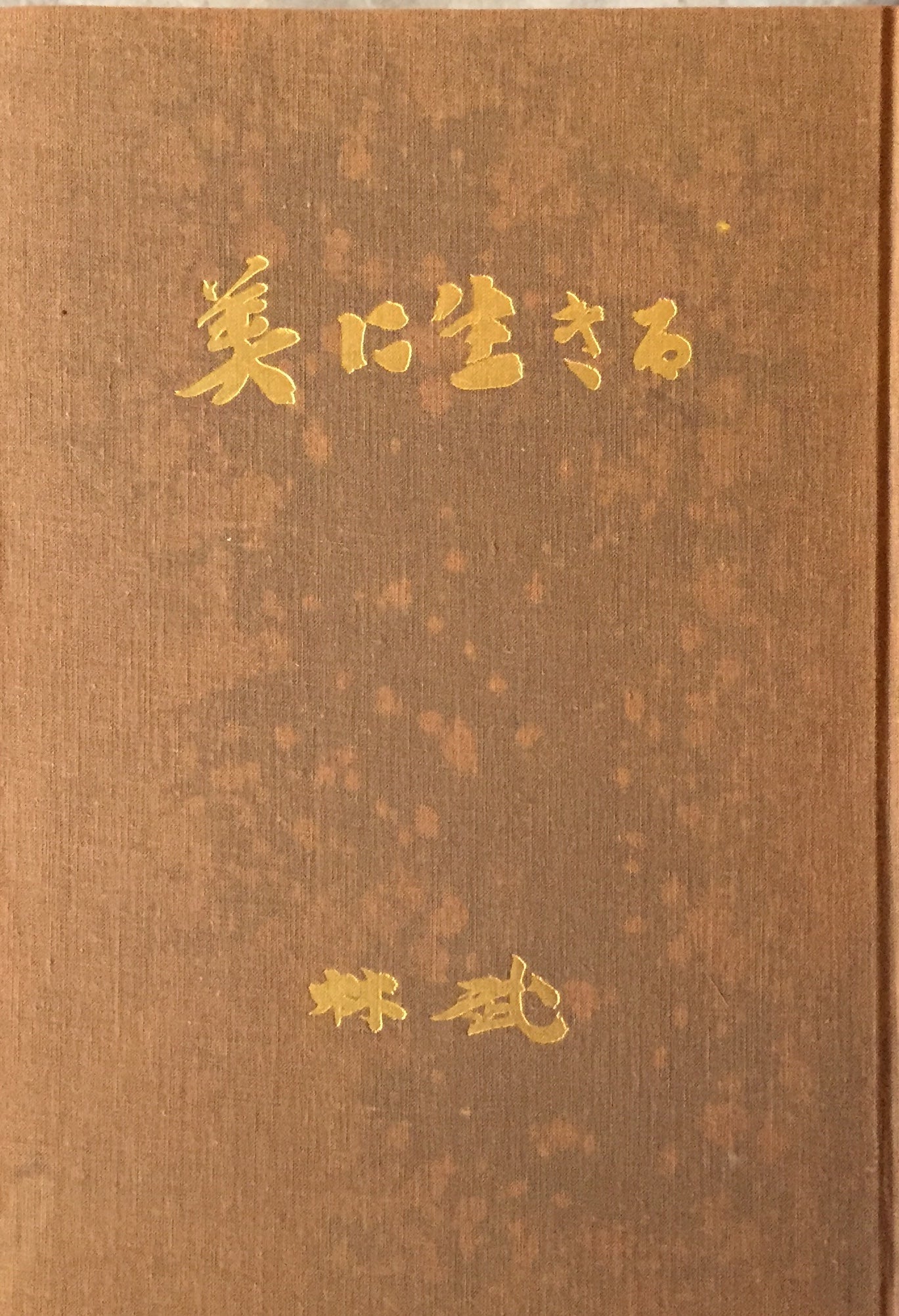 美に生きる 特装本 林武