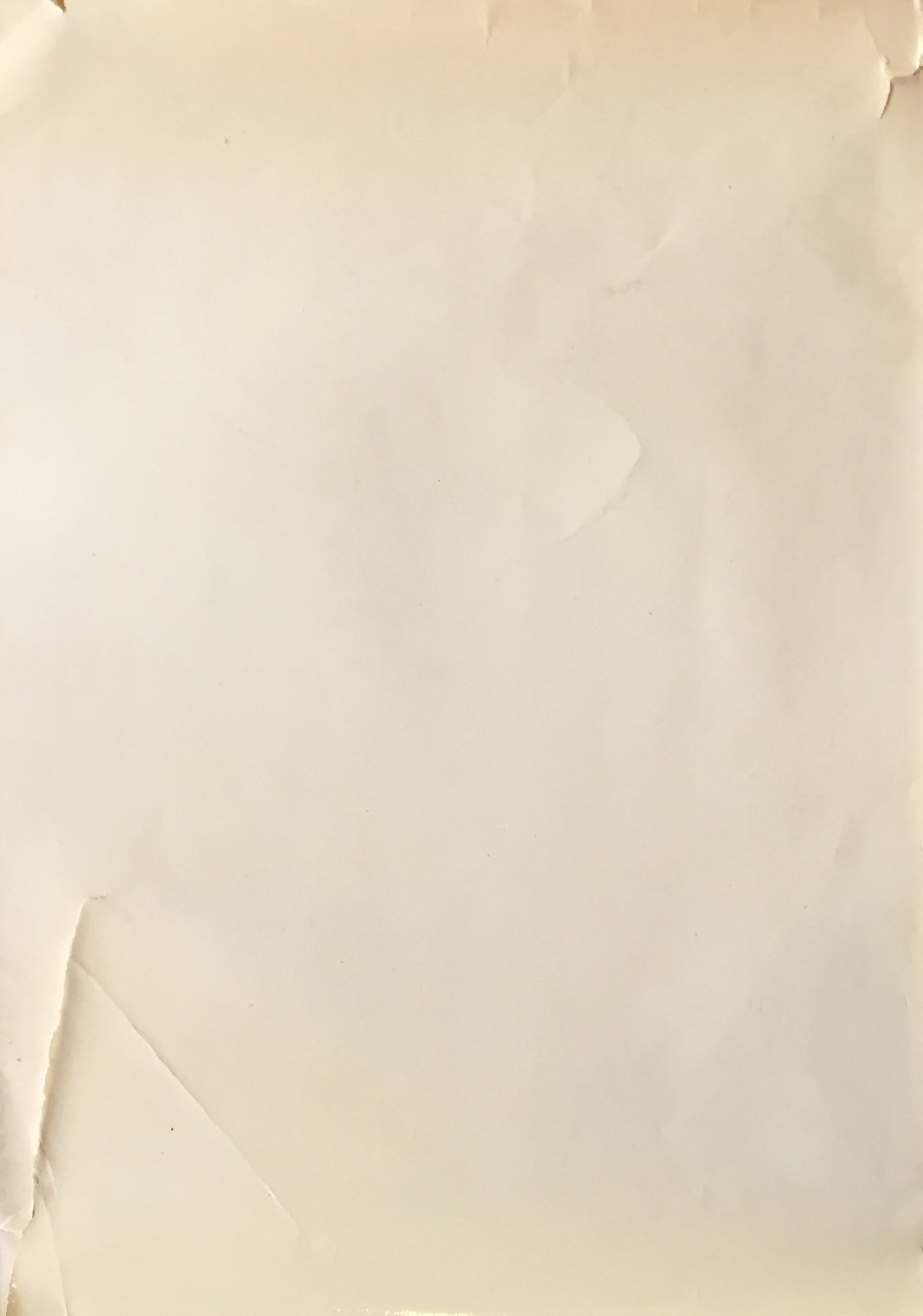 The Secret World of Zadkine Donald Buchanan オシップ・ザッキン