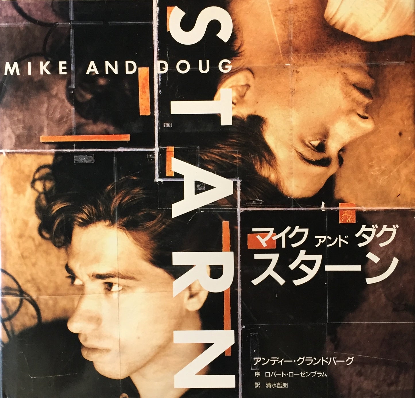 マイク・アンド・ダグ・スターン 日本語版 MIKE AND DOUG STARN ANDY GRUNDBERG