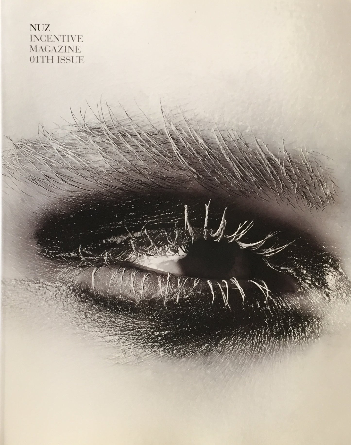NUZ 01th issue 2015 日本のアートクリエイター