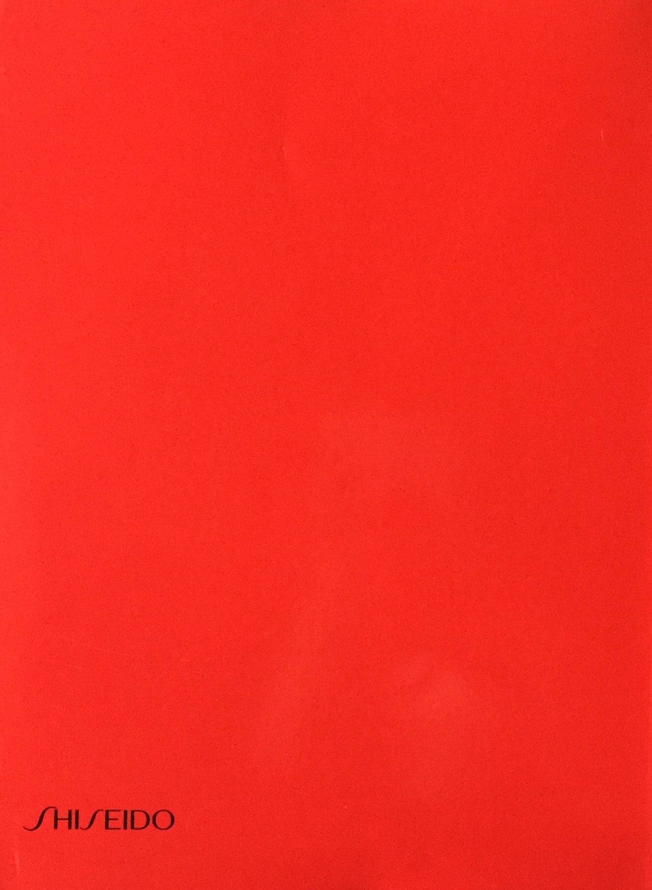 A SON OF PAINTING MASATO KOBAYASHI 小林正人