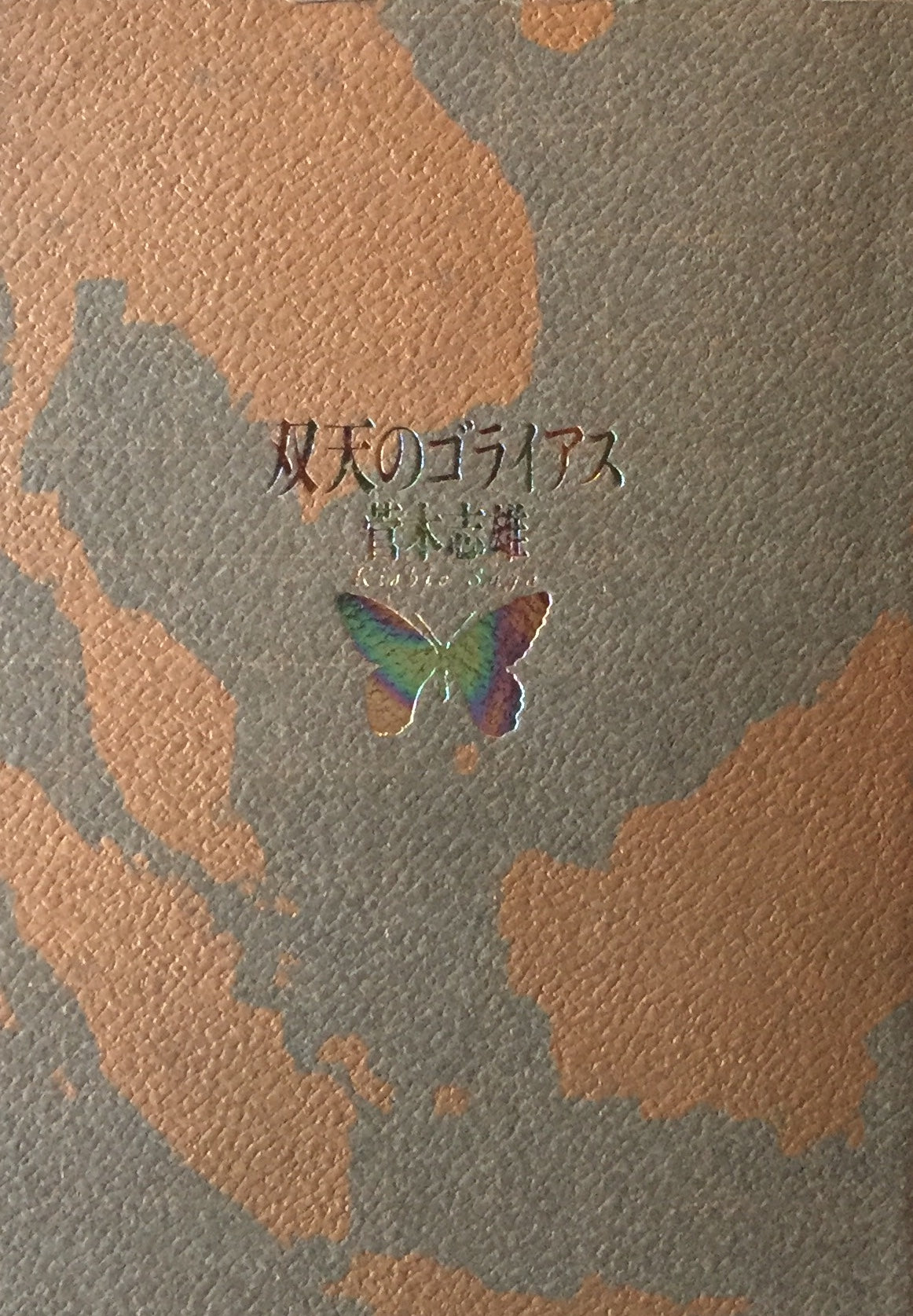 菅木志雄展カタログ 双天のゴライアス付 ヴァンジ彫刻庭園美術館