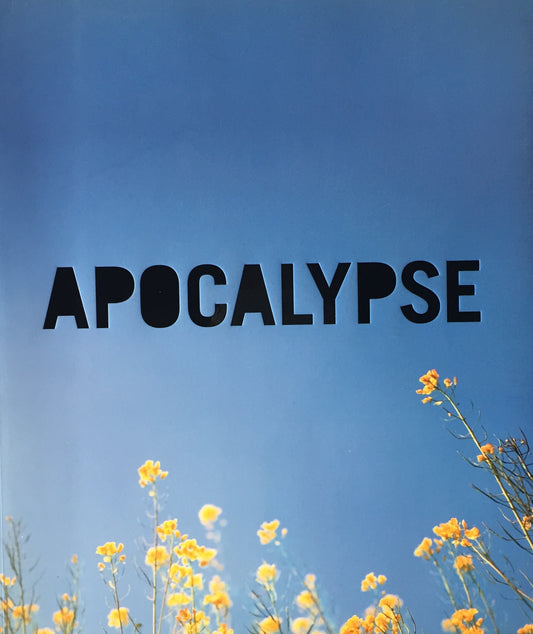 APOCALYPSE Beauty and Horror in Contemporary Art