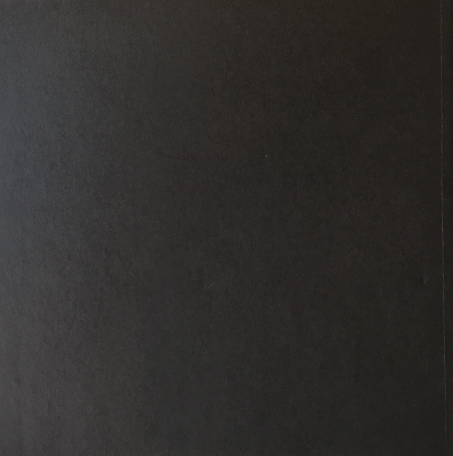Brice Marden Drawings The Whitney Museum of American Art Collection ブライス・マーデン