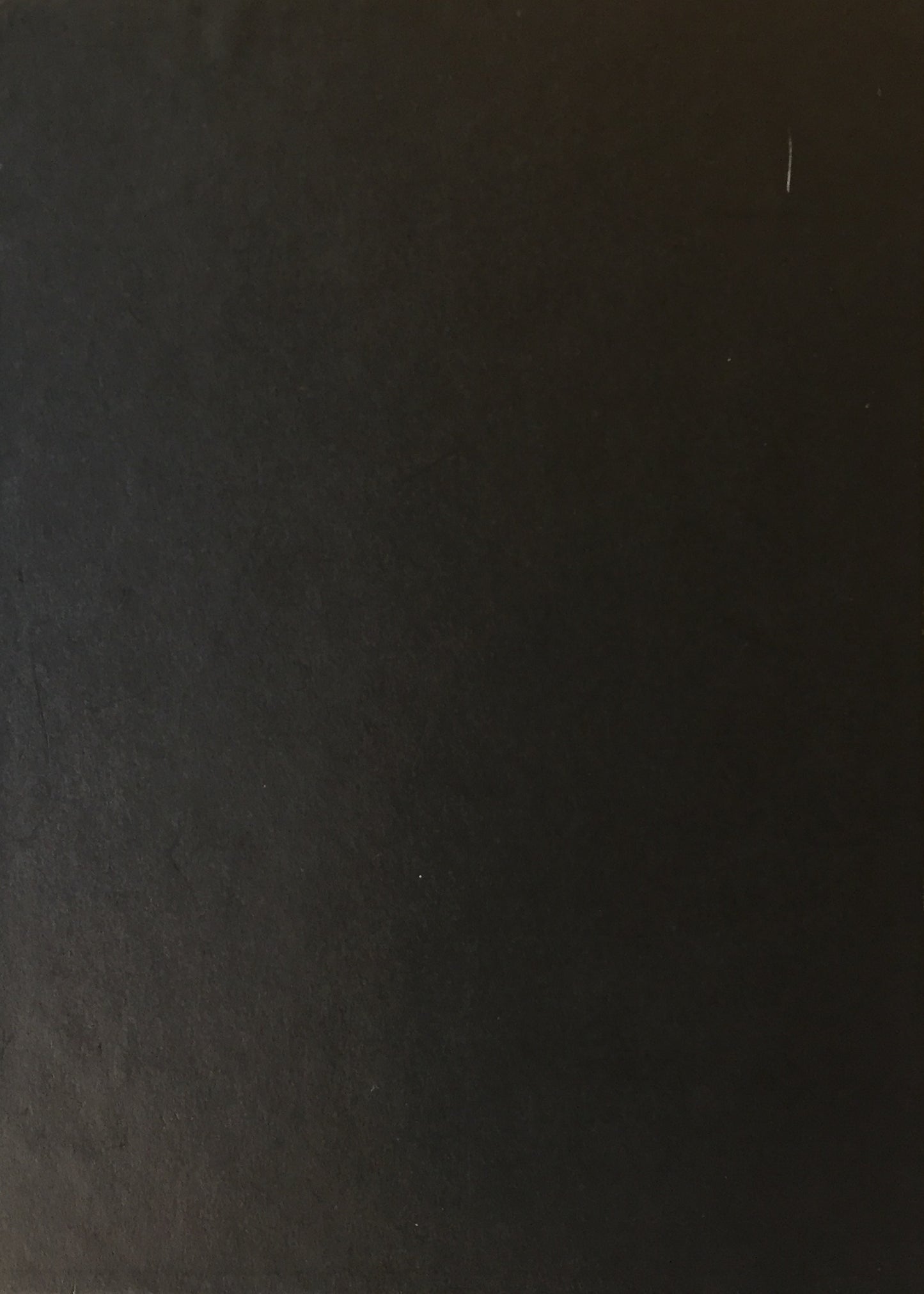 ラインハルト・サビエ展 まなざし