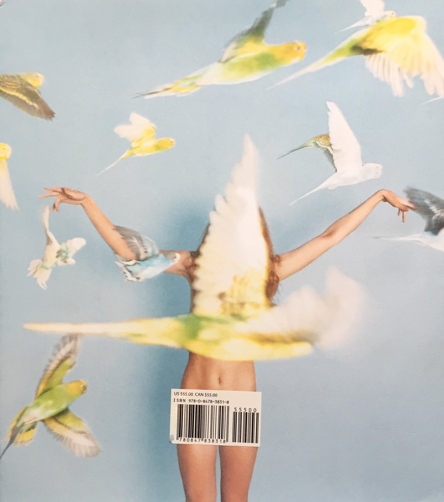 Whistle for the Wind Ryan McGinley ライアン・マッギンレー写真集