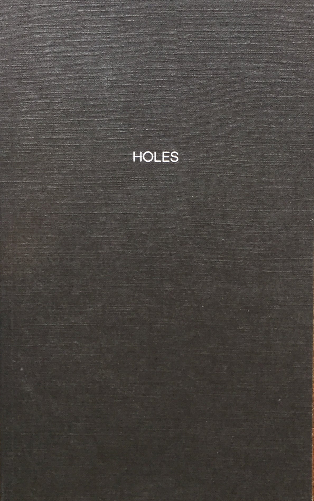 HOLES Sveinn Fannar Johnnsson 限定333部