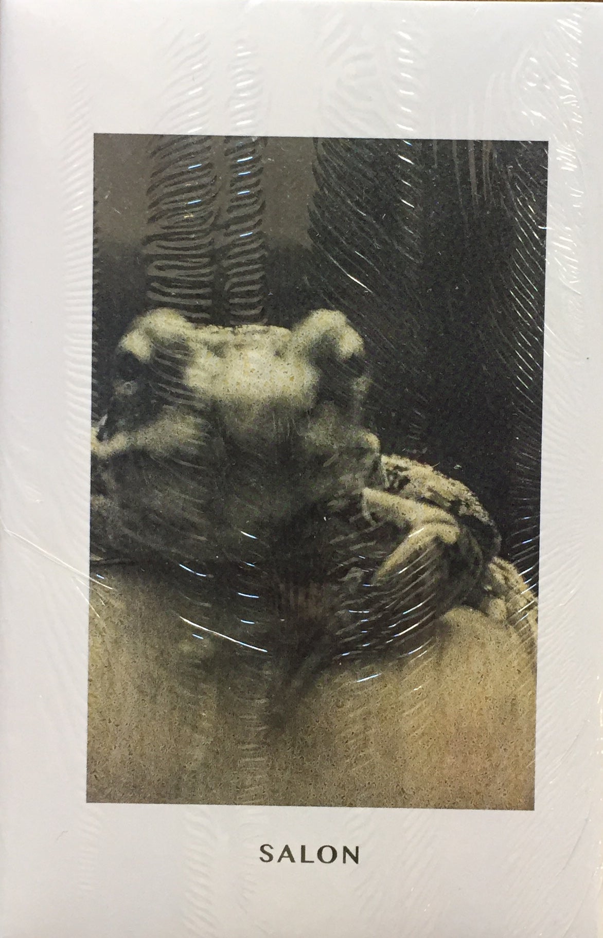 POND LIFE Stephen Gill 限定100部 署名入 プリント付 スティーブン・ギル