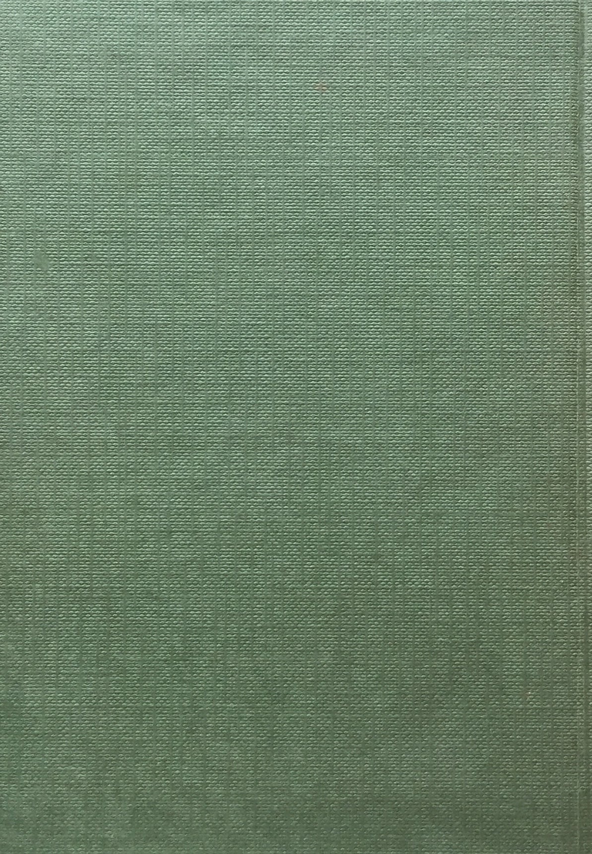 Portraits recents ALICE SPRINGS