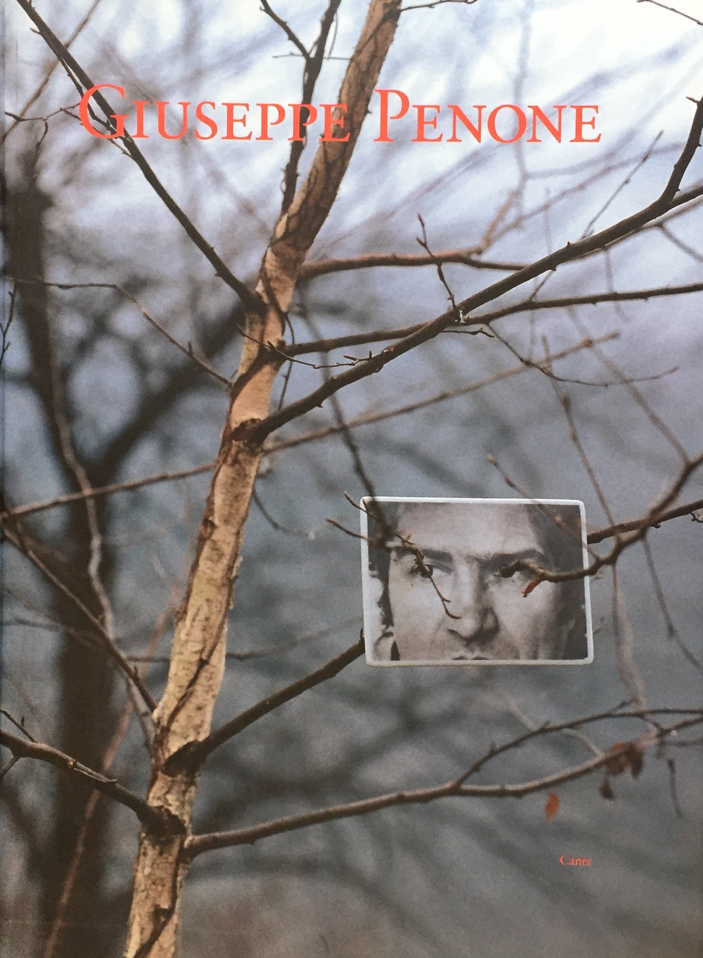 Die Adern des Steins Giuseppe Penone ジュゼッペ・ペノーネ作品集