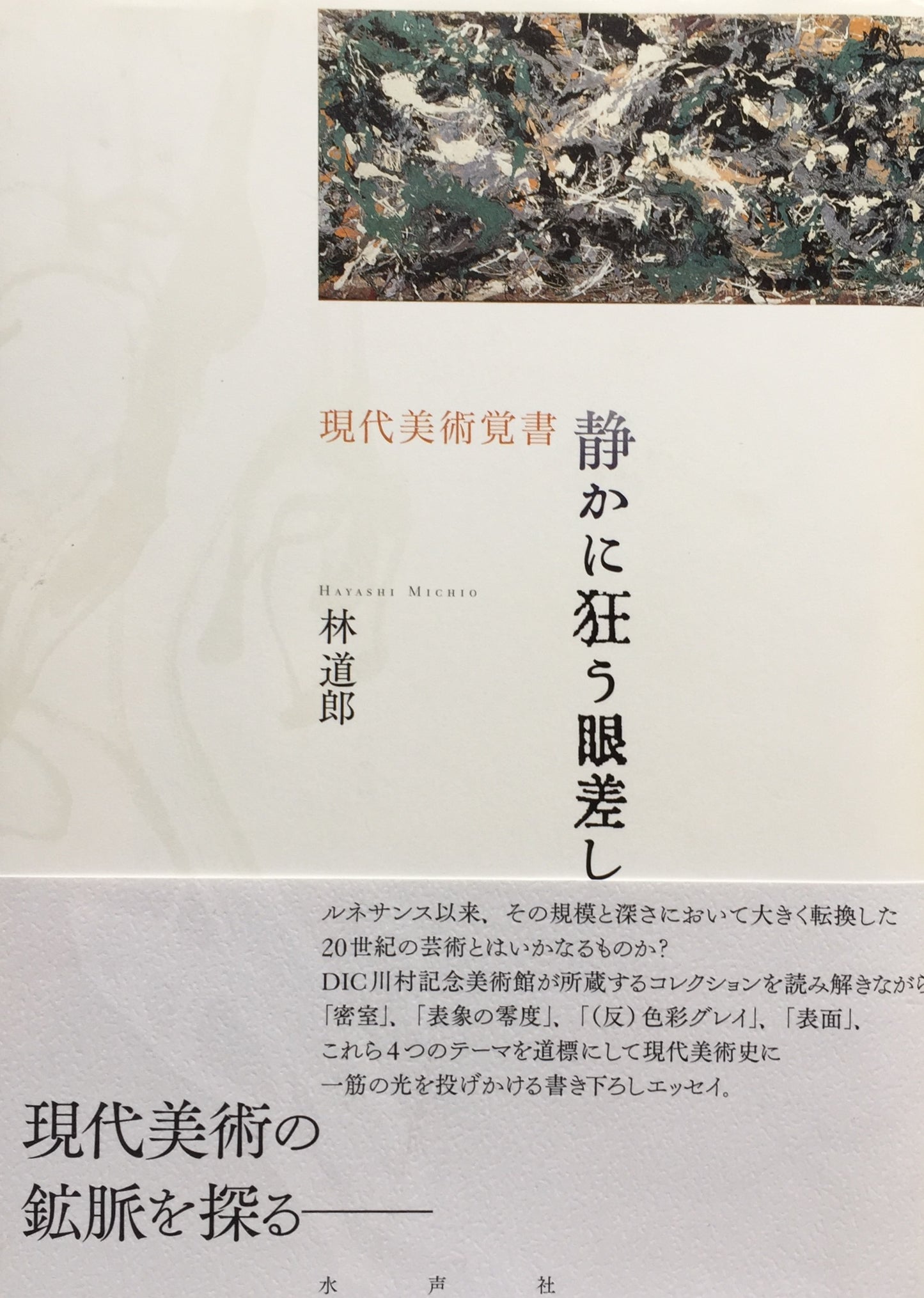静かに狂う眼差し 林道郎