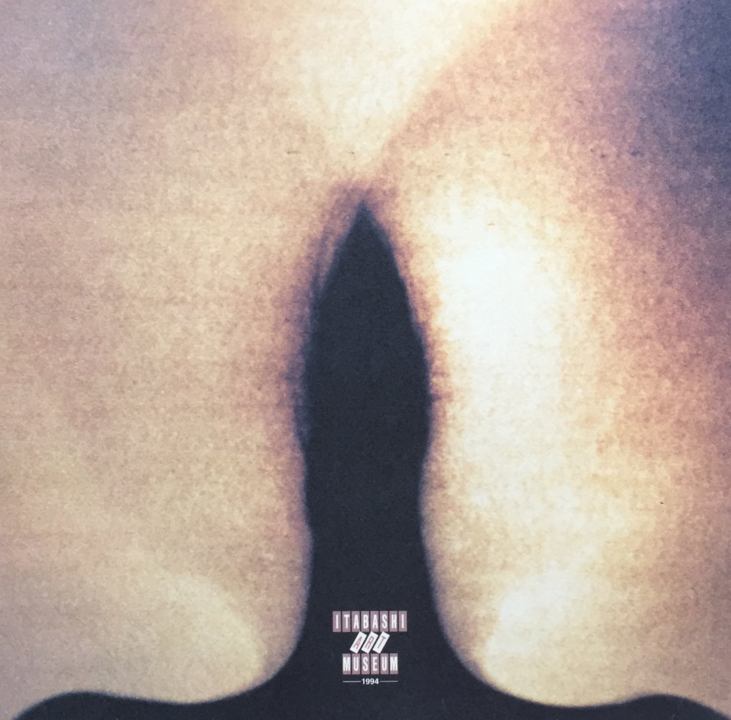 KARADAがARTになるとき 物質になった器官と身体