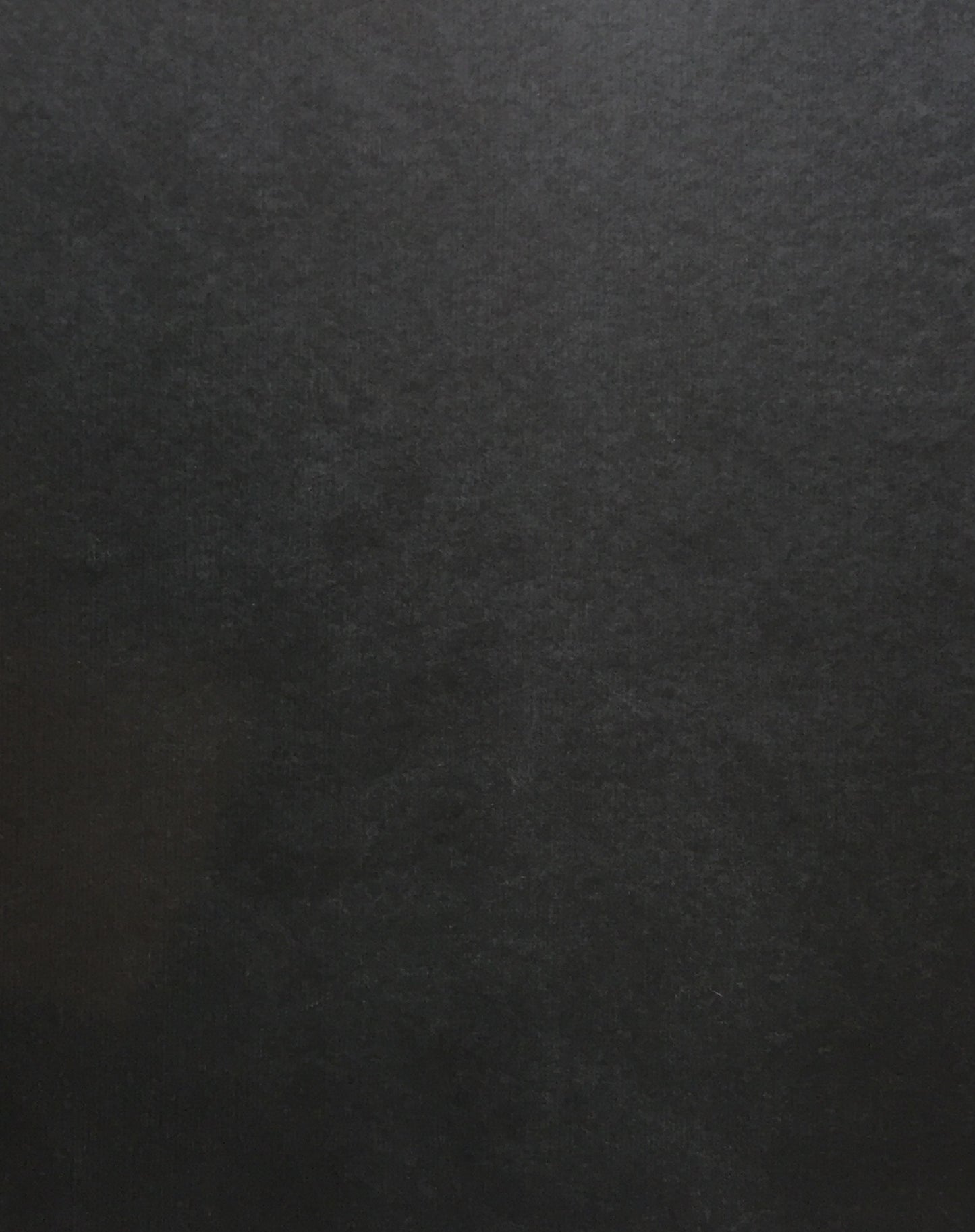 アーティストの風貌 横浜市美術館