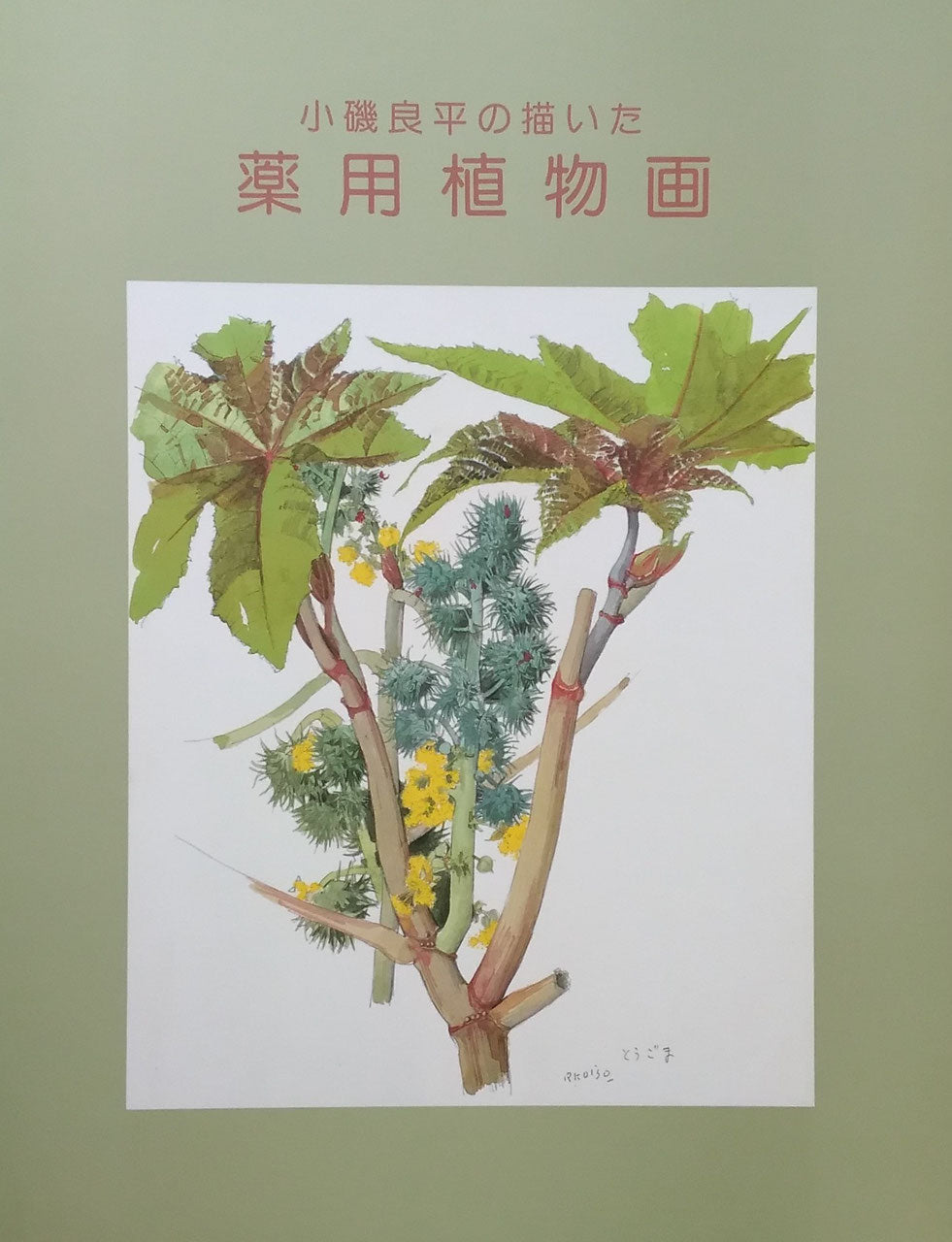 小磯良平の描いた 薬用植物画 – smokebooks shop