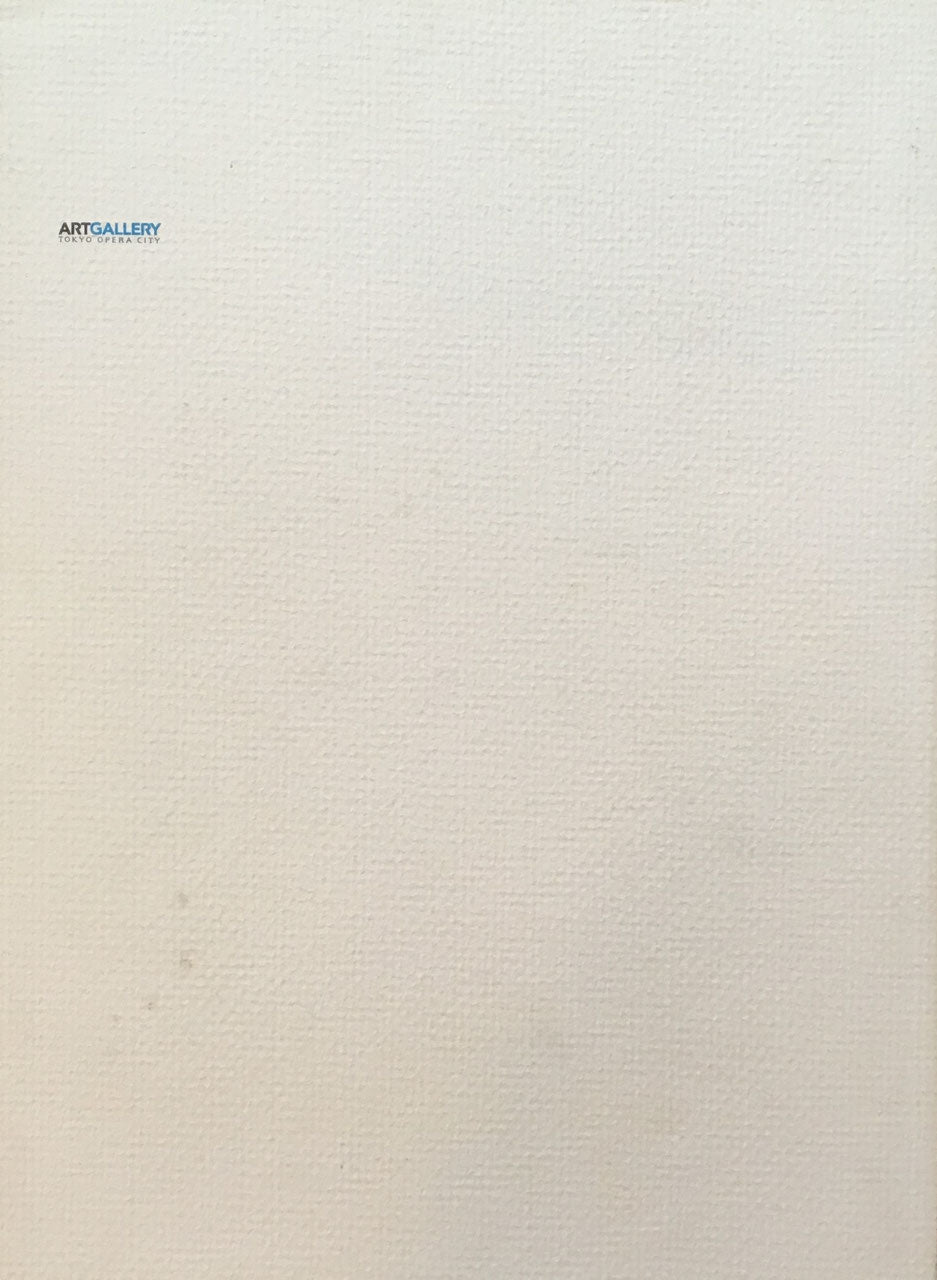 SOLOS レイモンド・ペティボン展 Raymond Pettibon Plots Laid Thick 2002