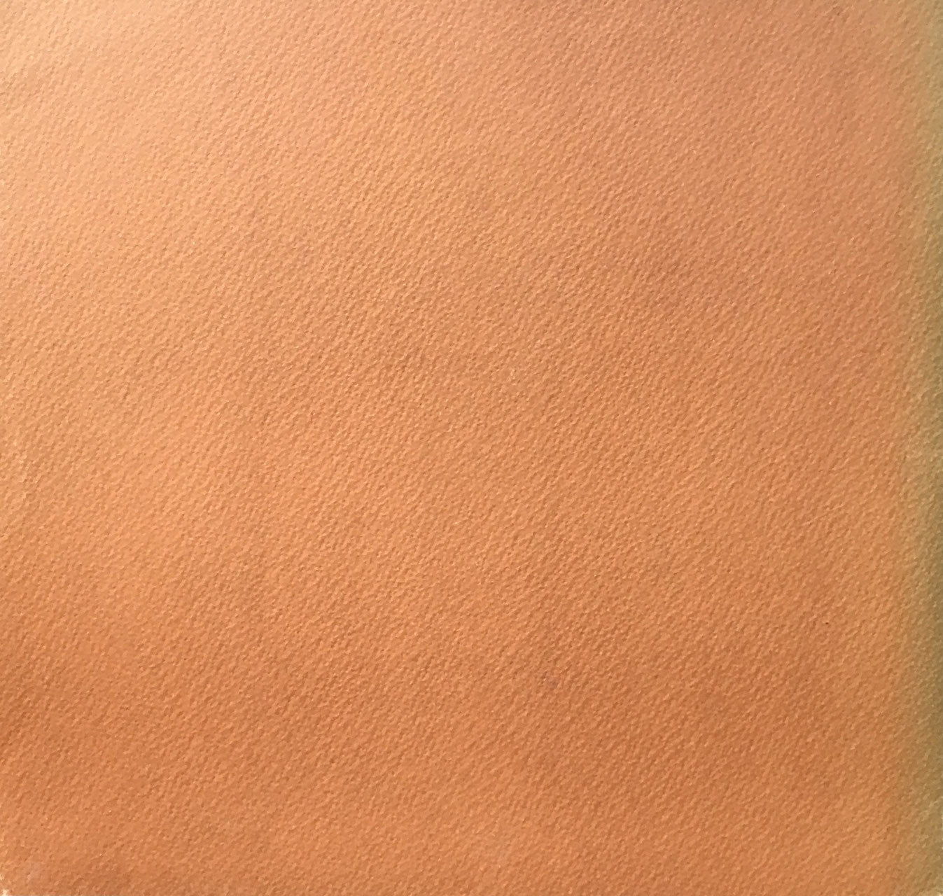 ドイツ・ルネサンスの巨匠 幻想的予言と祈りの世界 デューラー版画展 西武美術館