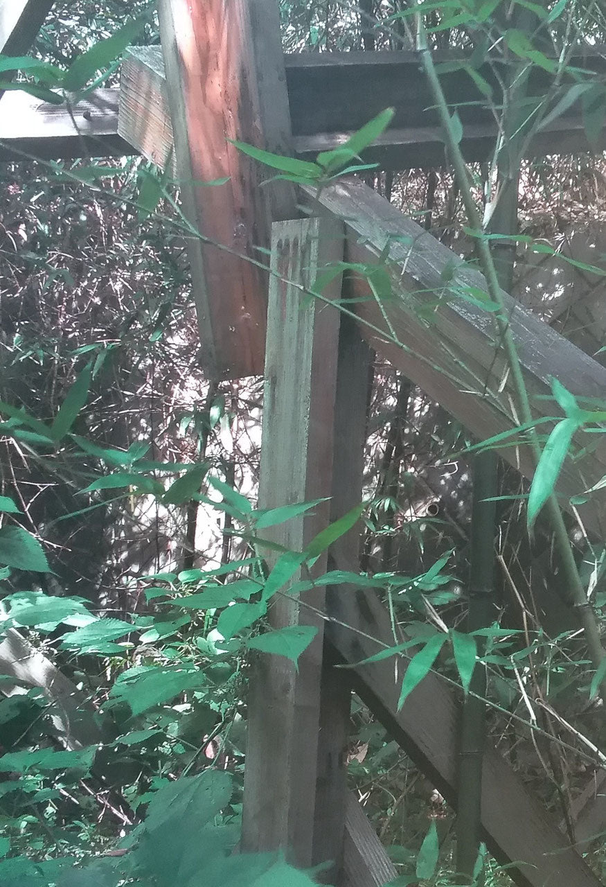 傾く小屋 美術家たちの証言 since 9.11