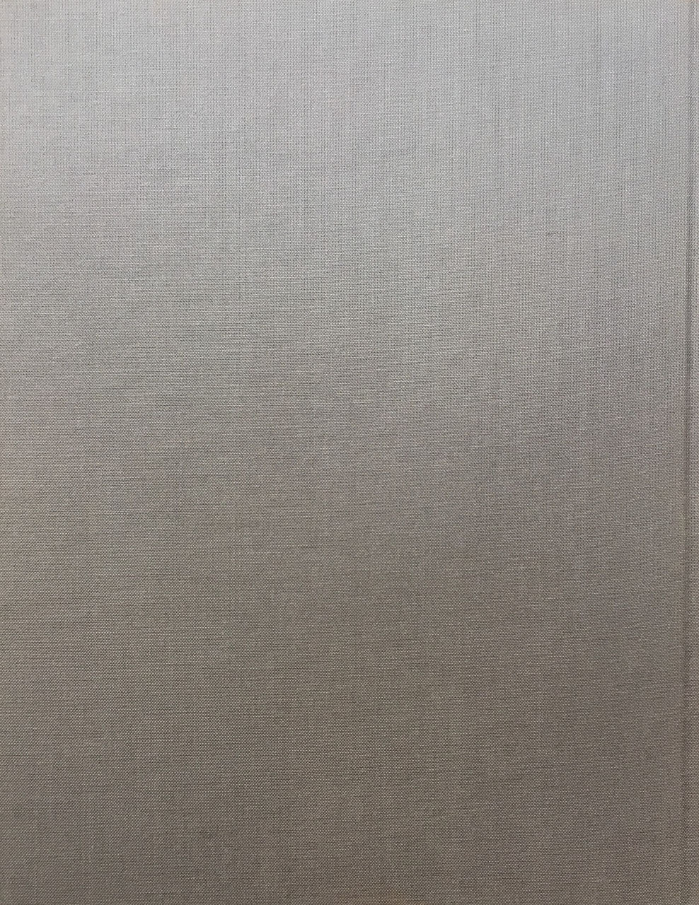 ブライス・マーデン Brice Marden A Vision of the Unsayable by John Yau