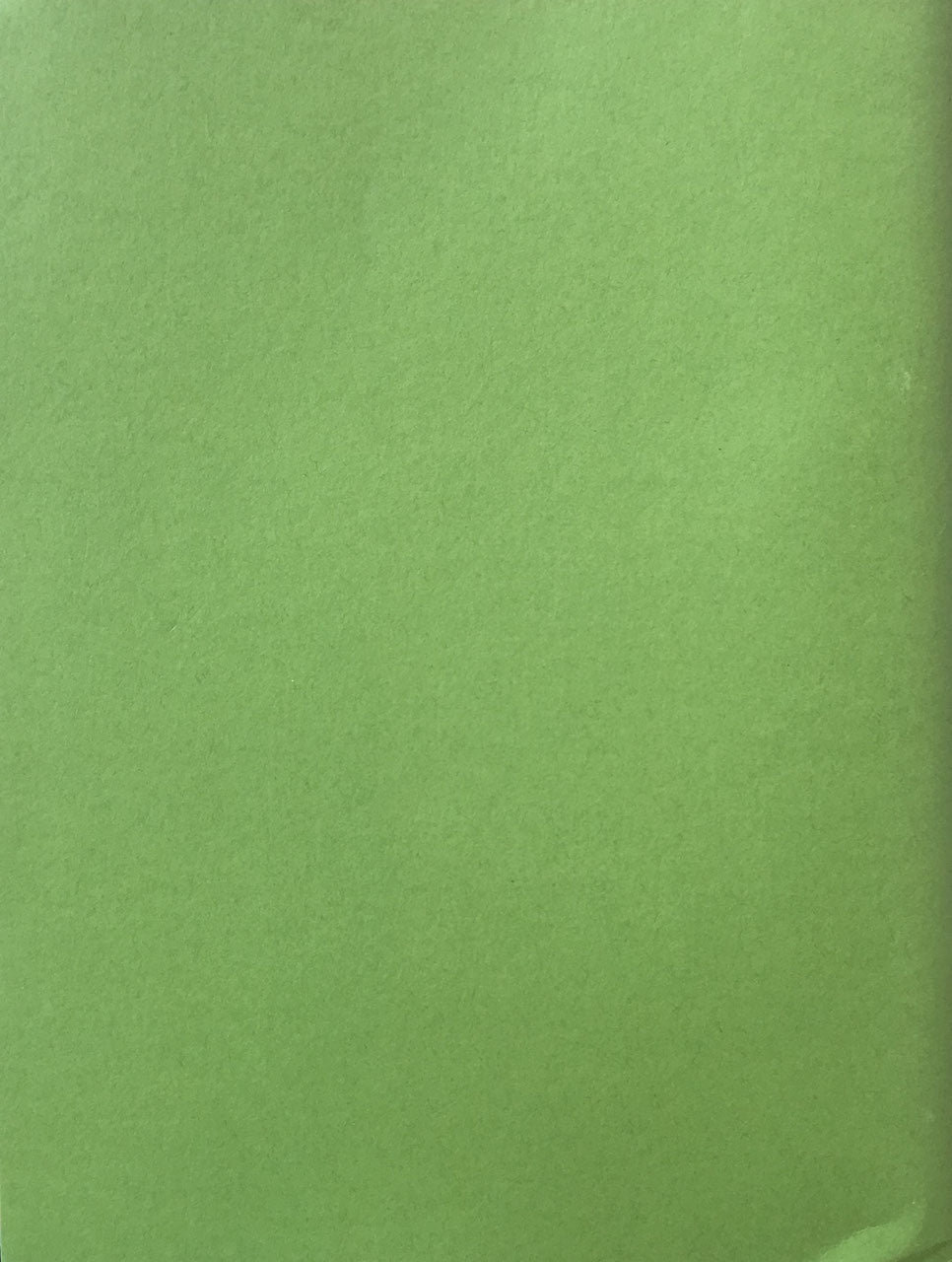 Journal of Plants lena corwin maria alexandra vettese レナ・コーウィン マリア・ベッテス