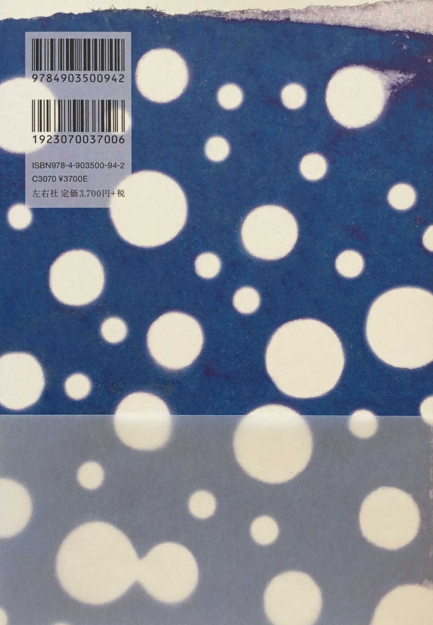 視触 多中心・多視点の思考 矢萩喜従郎