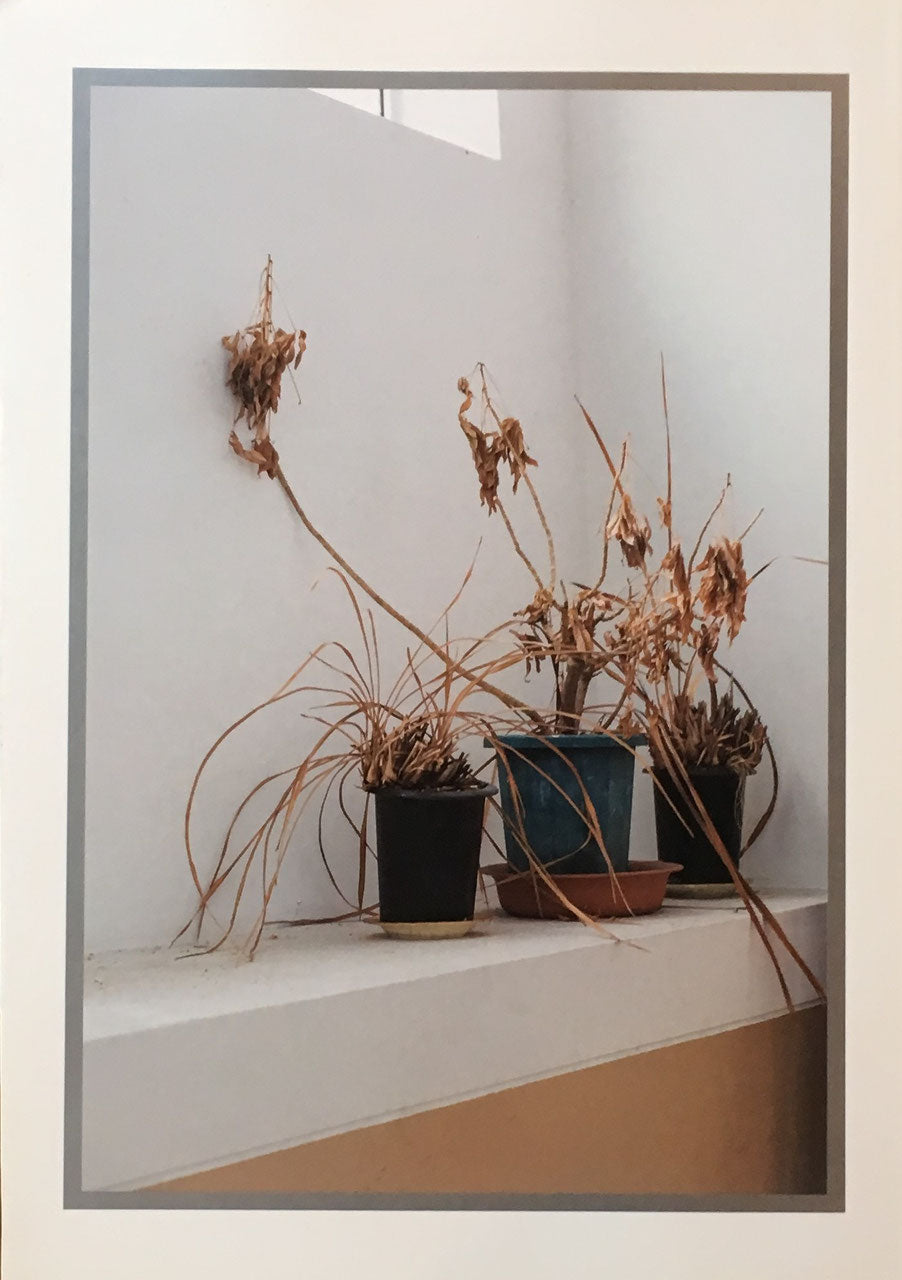 still moving 京都市立芸術大学ギャラリー@KCUA