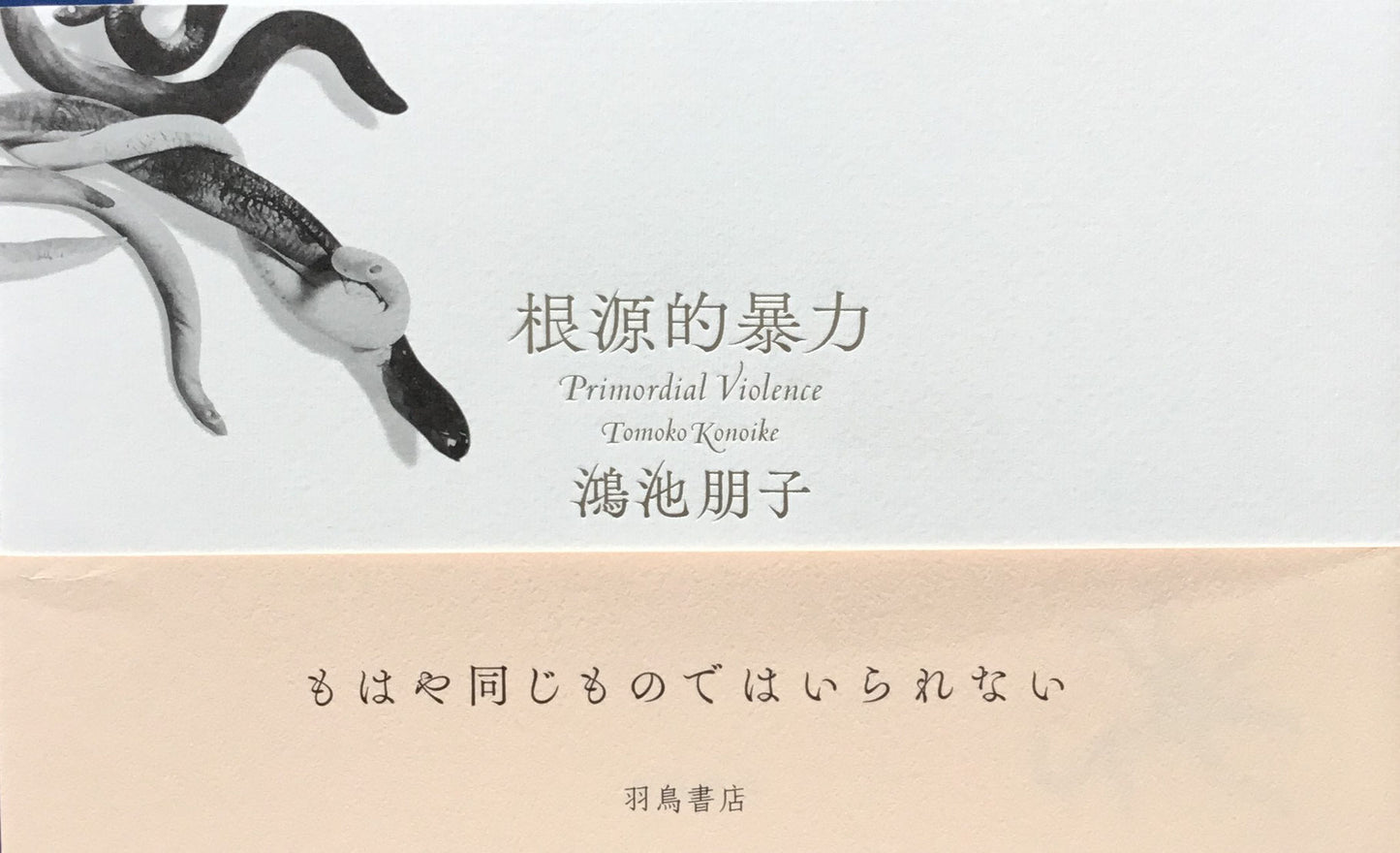 根源的暴力 鴻池朋子