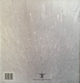 TARA DONOVAN CURRENTS 35 タラ・ドノヴァン