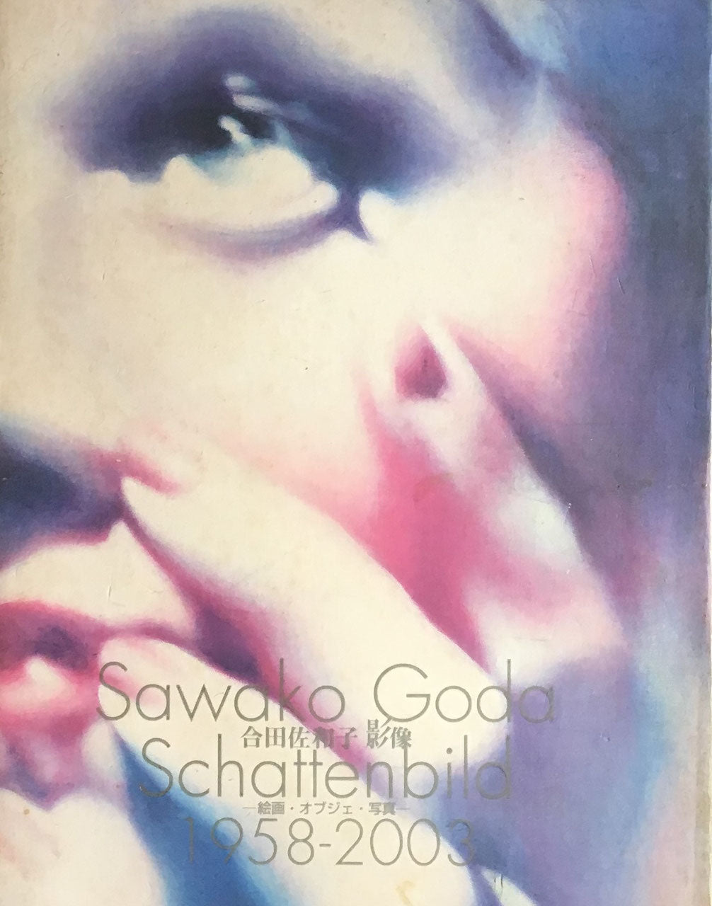 合田佐和子 影像 絵画・オブジェ・写真 1958-2003 松濤美術館 献呈署名入り