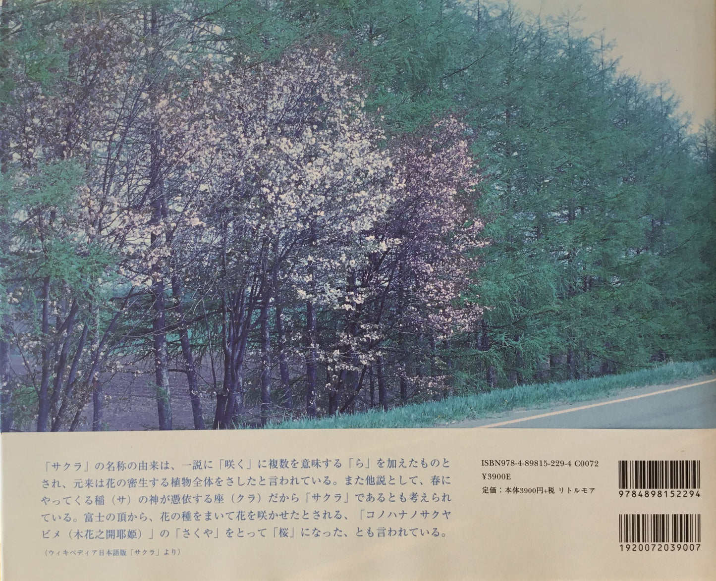 チェリーブロッサムズ 大森克己写真集