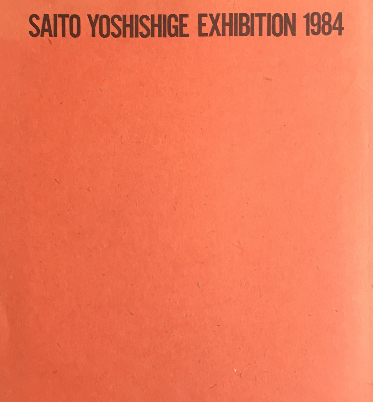 斎藤義重展 1984年