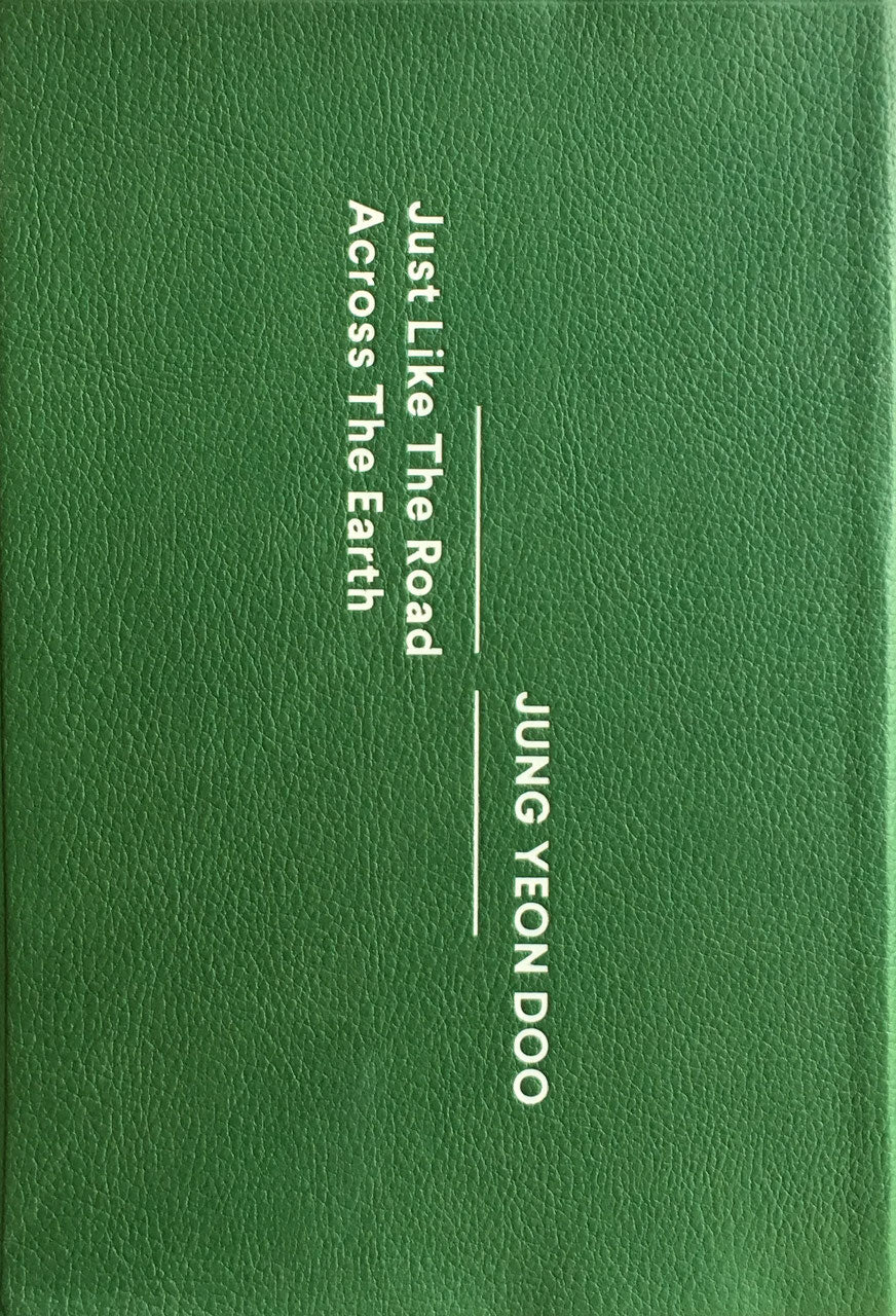 地上の道のように ヂョン・ヨンドゥ Just Like The Road Across The Earth Jung Yeon Doo 2014