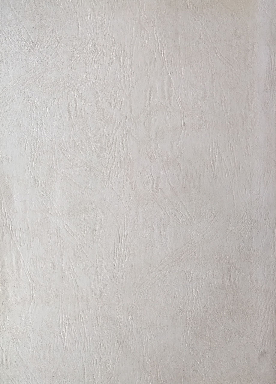 国際シンポジウム「人類の文化遺産は誰のものか」F.Lライトの建築の保存を考える報告書