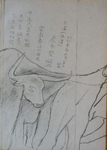 奥村土牛 中国古代青銅その他