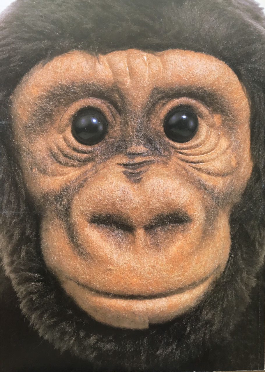 ちびっこ広告図案帳70’s AD for KIDS:1970-1974 おおこしたかのぶ編