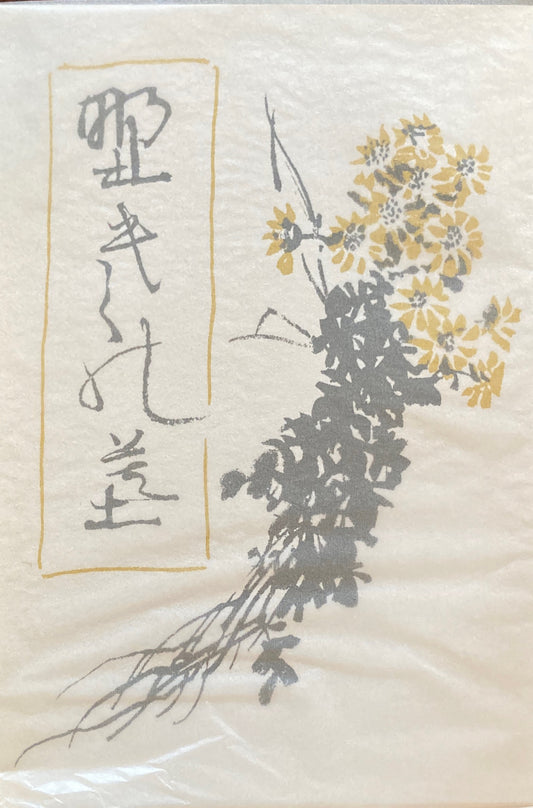 野菊の墓　伊藤左千夫　新選名著複刻全集　近代文学館　昭和59年