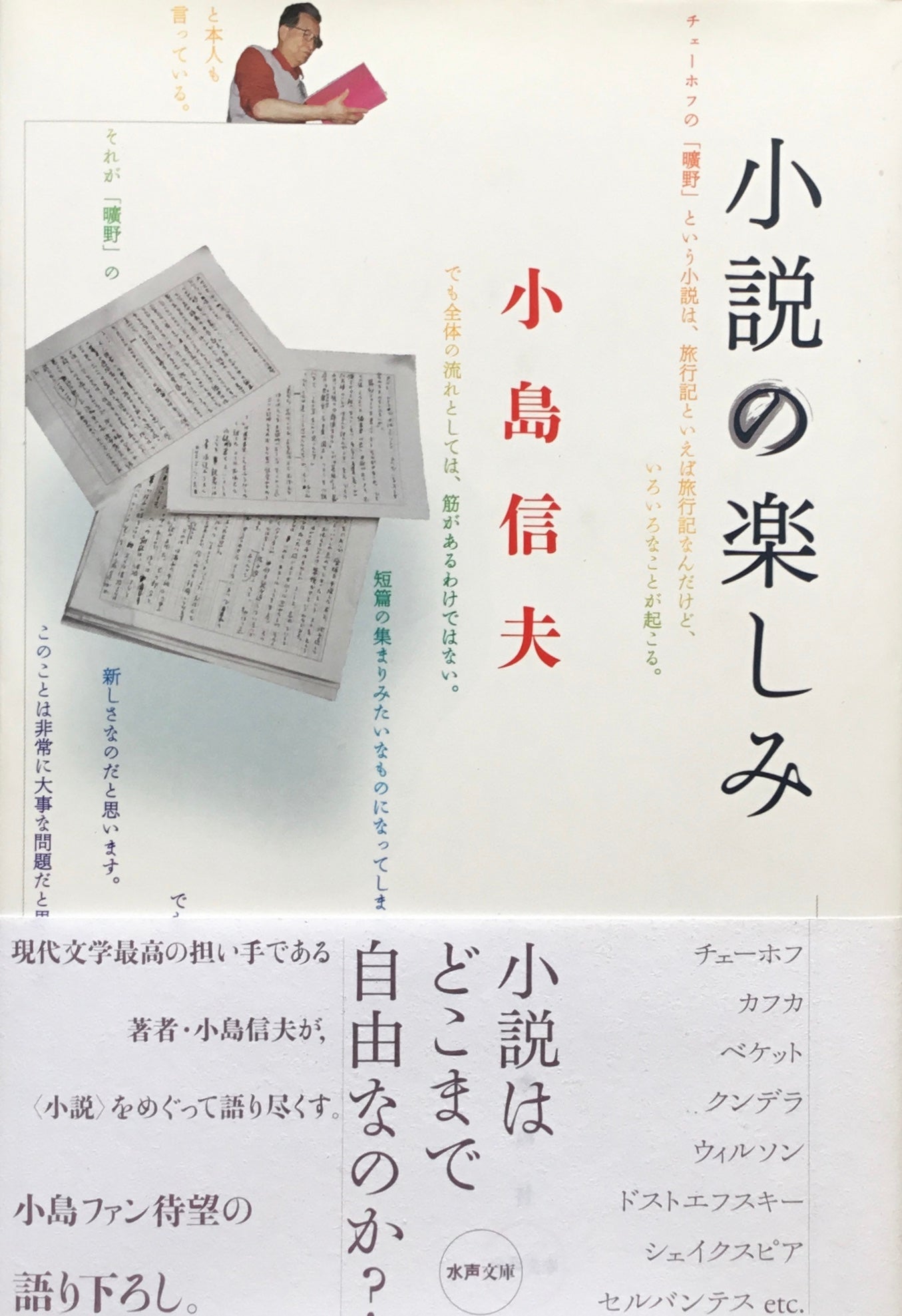 小説の楽しみ　小島信夫