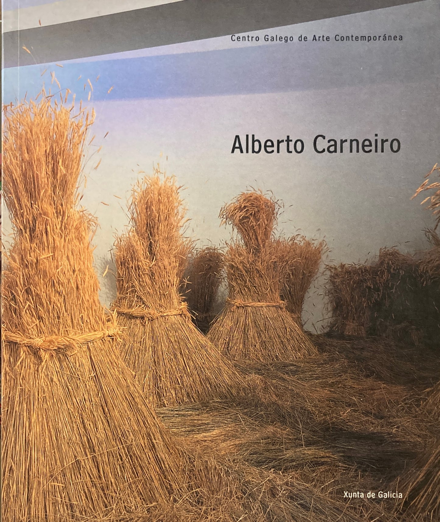 Alberto Carneiro　Centro Galego de Contemporánea　アルベルト・カルネイロ