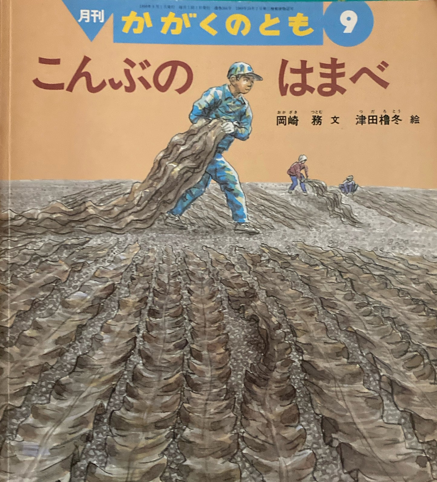 こんぶのはまべ　かがくのとも366号　1999年9月号