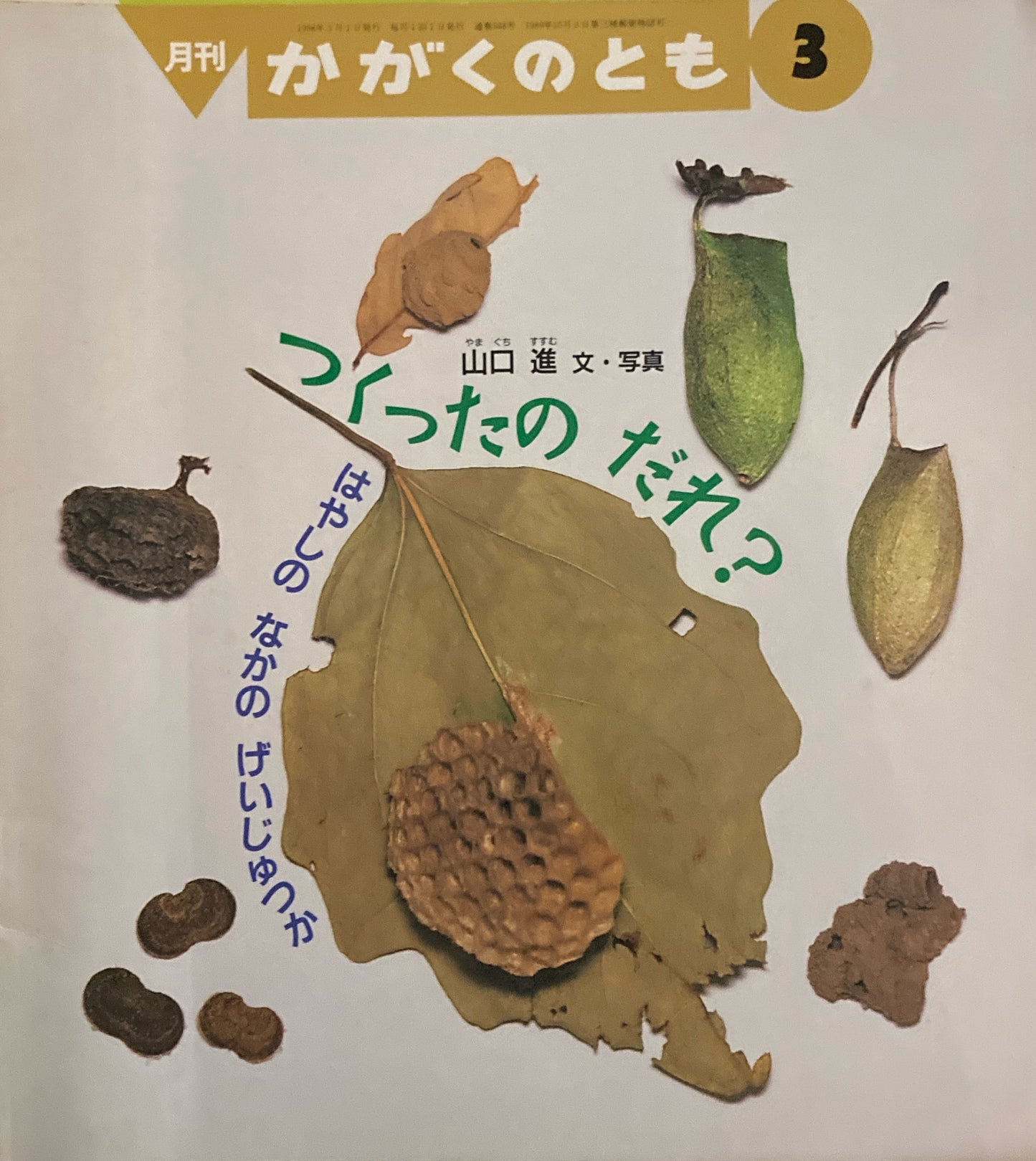 つくったのだれ？　はやしのなかのげいじゅつか　かがくのとも348号　1998年3月号